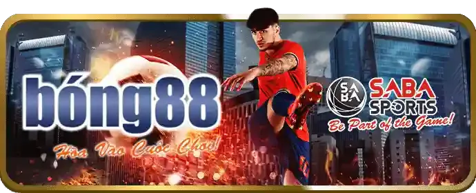 Chơi công bằng và minh bạch